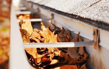 Heogan gutter cleaning companies
